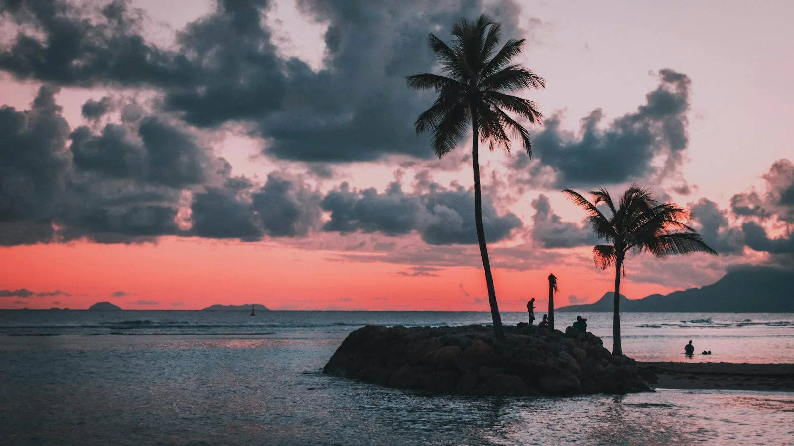 Plage de Guadeloupe bordée de cocotiers et eau turquoise