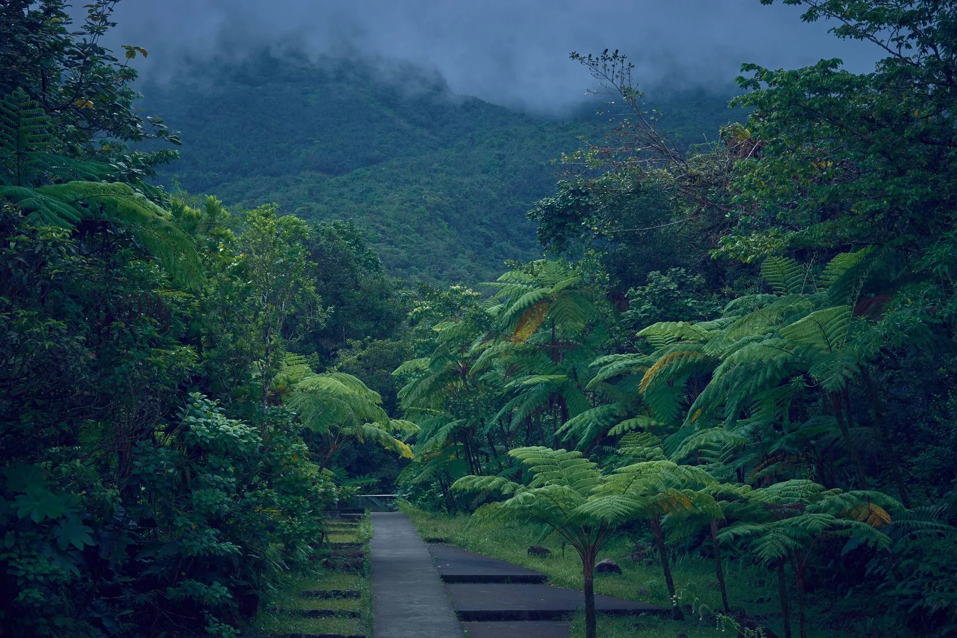 Sommet de la Soufrière et ses fumerolles sur Basse-Terre